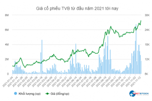 TVB TĂNG TRẦN SAU KHI THÔNG QUA NÂNG KẾ HOẠCH KINH DOANH VÀ CHÀO BÁN CHO NĐT CHIẾN LƯỢC